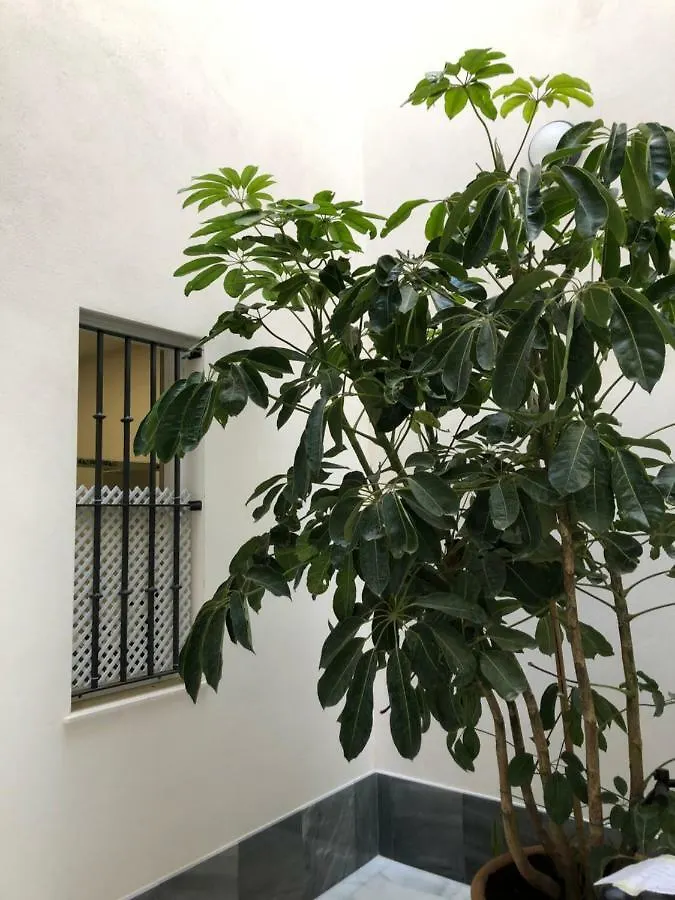 Appartement Jano Puertatierra à Cadix 0*,  Espagne